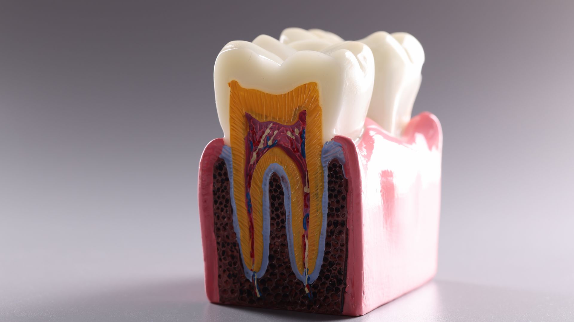 dentico rijeka