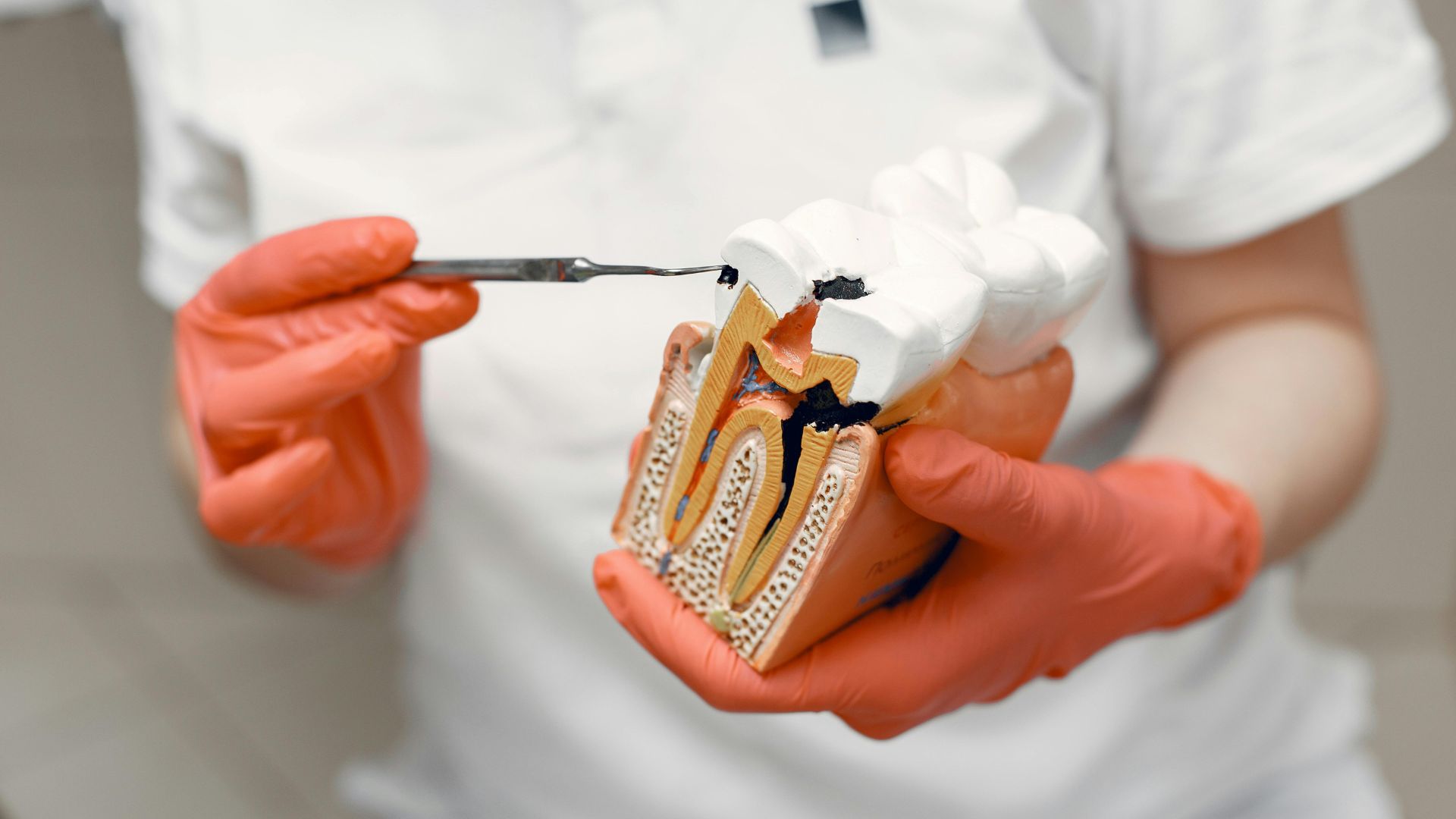 dentico rijeka